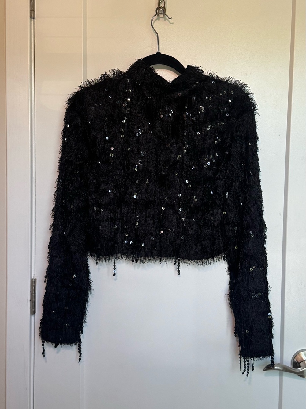 H&M long sleeve fluffy sequin fringe cropped mock neck top in size US Small.